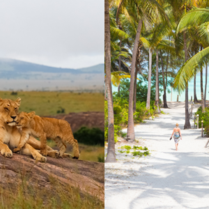 KENYA AND ZANZIBAR